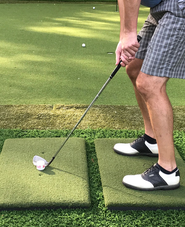 Portable Twin Combo System · Real Feel Golf Mats